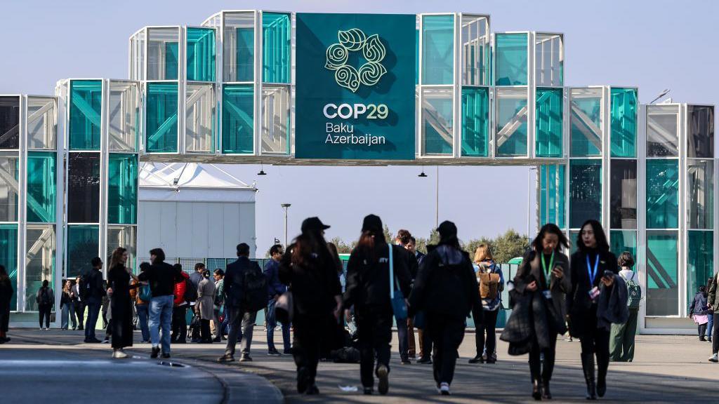 COP29-un 5-ci günü: Mavi Zona tədbirlərinə start verilib – YENİLƏNİR –  Rakus.az